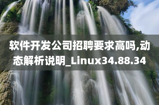 软件开发公司招聘要求高吗,动态解析说明_Linux34.88.34