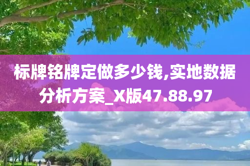 标牌铭牌定做多少钱,实地数据分析方案_X版47.88.97