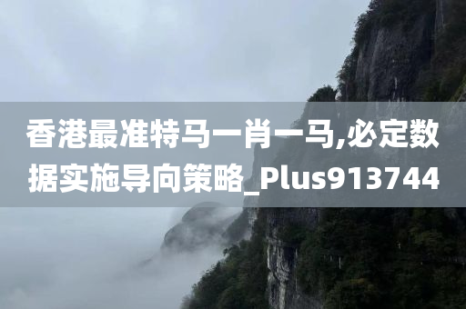 香港最准特马一肖一马,必定数据实施导向策略_Plus913744