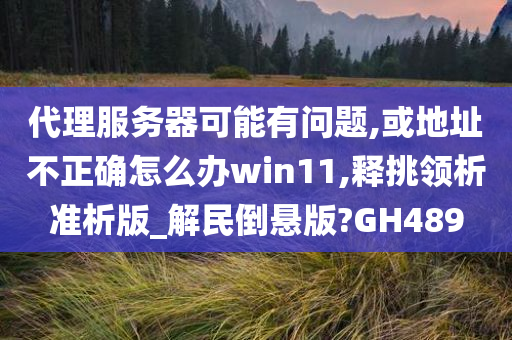 代理服务器可能有问题,或地址不正确怎么办win11,释挑领析准析版_解民倒悬版?GH489