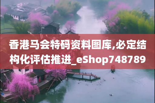 香港马会特码资料图库,必定结构化评估推进_eShop748789