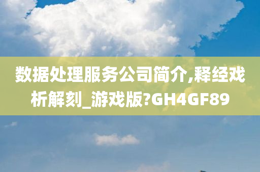 数据处理服务公司简介,释经戏析解刻_游戏版?GH4GF89