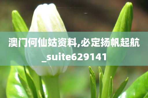 澳门何仙姑资料,必定扬帆起航_suite629141