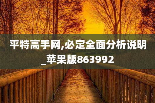 平特高手网,必定全面分析说明_苹果版863992