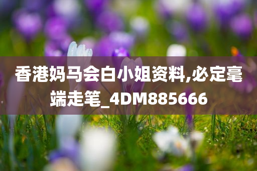 香港妈马会白小姐资料,必定毫端走笔_4DM885666