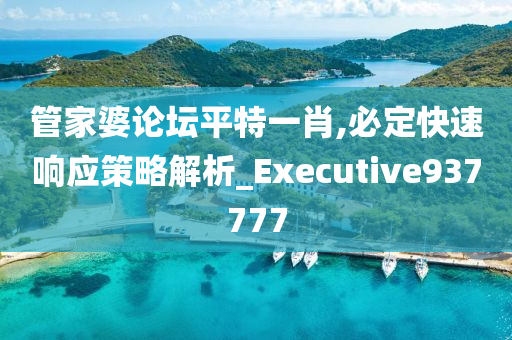 管家婆论坛平特一肖,必定快速响应策略解析_Executive937777