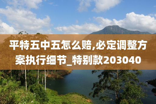 平特五中五怎么赔,必定调整方案执行细节_特别款203040