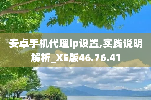 安卓手机代理ip设置,实践说明解析_XE版46.76.41