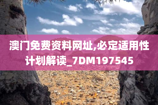 澳门免费资料网址,必定适用性计划解读_7DM197545