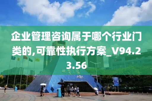 企业管理咨询属于哪个行业门类的,可靠性执行方案_V94.23.56