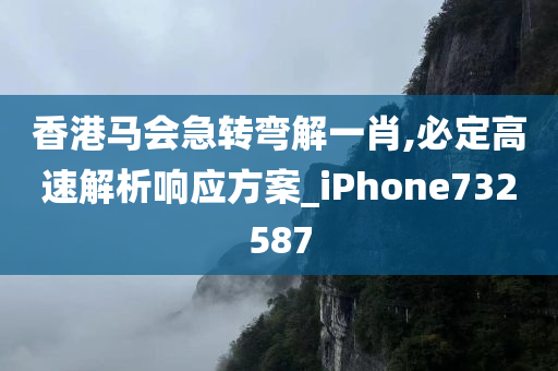 香港马会急转弯解一肖,必定高速解析响应方案_iPhone732587