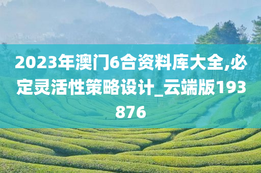 2023年澳门6合资料库大全,必定灵活性策略设计_云端版193876