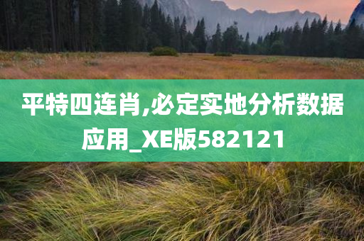 平特四连肖,必定实地分析数据应用_XE版582121