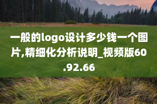 一般的logo设计多少钱一个图片,精细化分析说明_视频版60.92.66