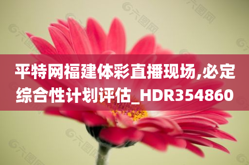 平特网福建体彩直播现场,必定综合性计划评估_HDR354860