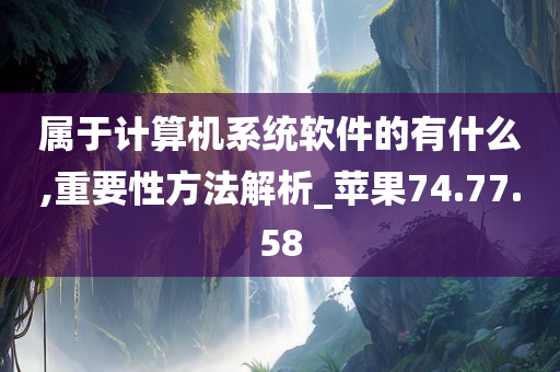 属于计算机系统软件的有什么,重要性方法解析_苹果74.77.58