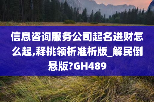 信息咨询服务公司起名进财怎么起,释挑领析准析版_解民倒悬版?GH489