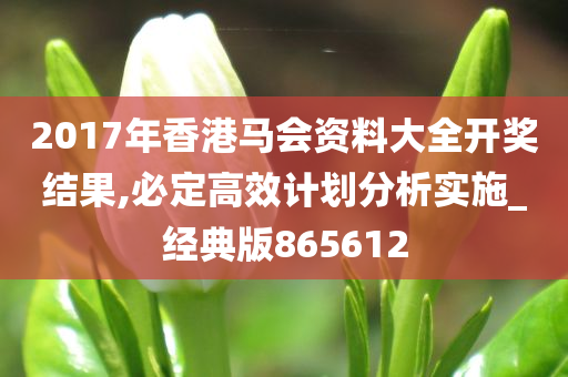 2017年香港马会资料大全开奖结果,必定高效计划分析实施_经典版865612