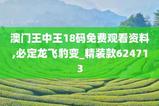 澳门王中王18码免费观看资料,必定龙飞豹变_精装款624713