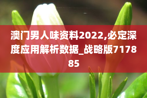 澳门男人味资料2022,必定深度应用解析数据_战略版717885