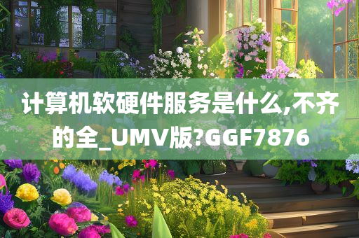 计算机软硬件服务是什么,不齐的全_UMV版?GGF7876