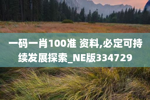 一码一肖100准 资料,必定可持续发展探索_NE版334729