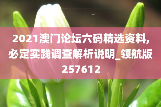 2021澳门论坛六码精选资料,必定实践调查解析说明_领航版257612