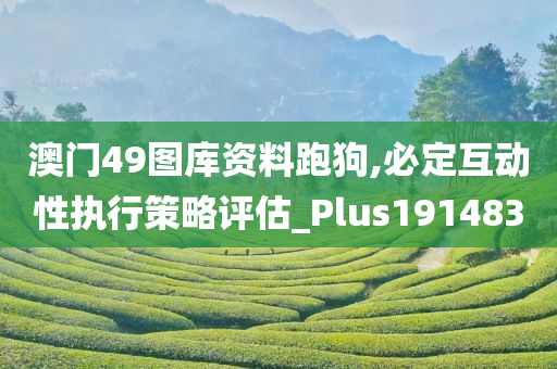 澳门49图库资料跑狗,必定互动性执行策略评估_Plus191483