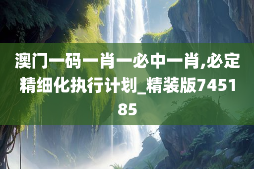 澳门一码一肖一必中一肖,必定精细化执行计划_精装版745185