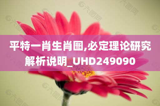 平特一肖生肖图,必定理论研究解析说明_UHD249090