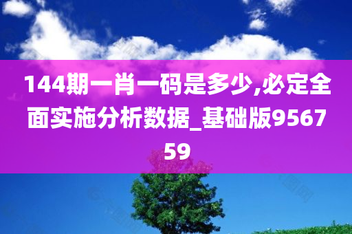 144期一肖一码是多少,必定全面实施分析数据_基础版956759