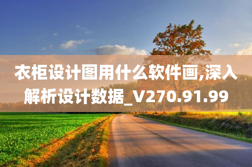 衣柜设计图用什么软件画,深入解析设计数据_V270.91.99