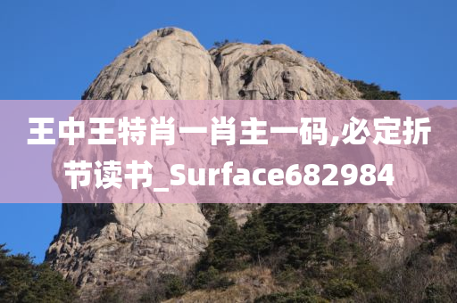 王中王特肖一肖主一码,必定折节读书_Surface682984