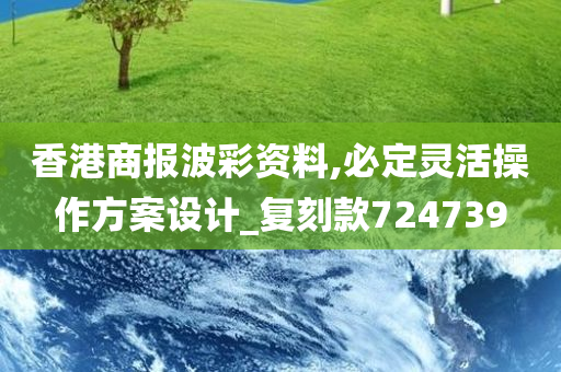 香港商报波彩资料,必定灵活操作方案设计_复刻款724739