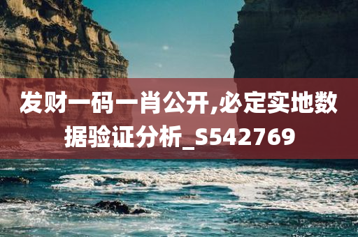 发财一码一肖公开,必定实地数据验证分析_S542769