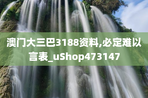 澳门大三巴3188资料,必定难以言表_uShop473147