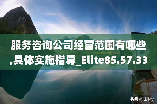 服务咨询公司经营范围有哪些,具体实施指导_Elite85.57.33