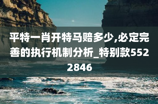 平特一肖开特马赔多少,必定完善的执行机制分析_特别款5522846