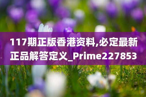 117期正版香港资料,必定最新正品解答定义_Prime227853