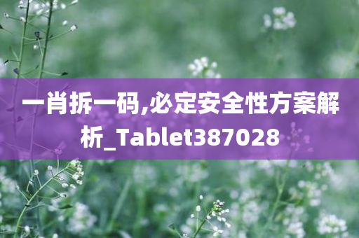 一肖拆一码,必定安全性方案解析_Tablet387028