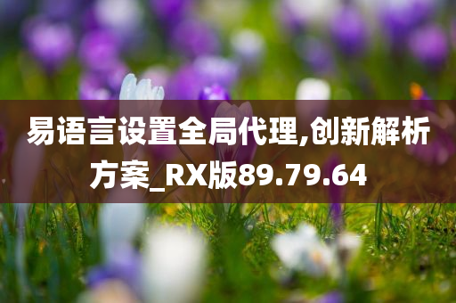 易语言设置全局代理,创新解析方案_RX版89.79.64