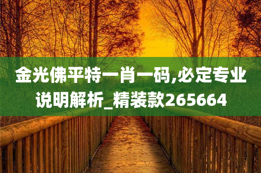 金光佛平特一肖一码,必定专业说明解析_精装款265664