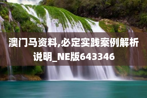 澳门马资料,必定实践案例解析说明_NE版643346