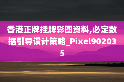 香港正牌挂牌彩图资料,必定数据引导设计策略_Pixel902035