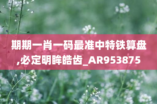 期期一肖一码最准中特铁算盘,必定明眸皓齿_AR953875