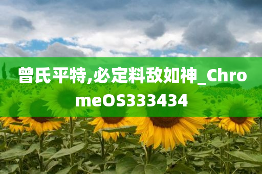 曾氏平特,必定料敌如神_ChromeOS333434