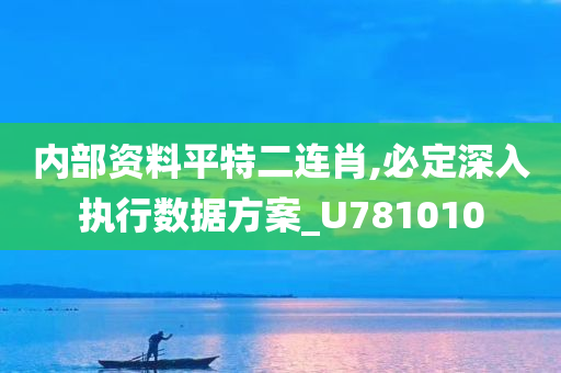 内部资料平特二连肖,必定深入执行数据方案_U781010