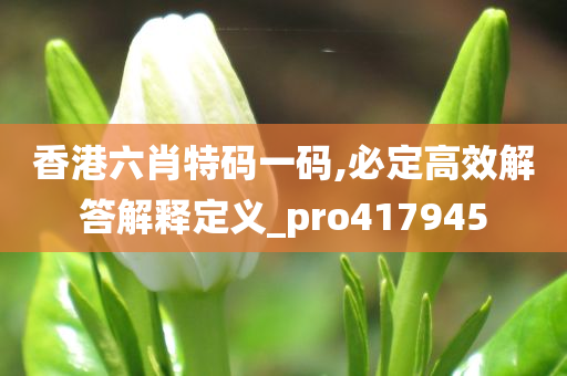 香港六肖特码一码,必定高效解答解释定义_pro417945