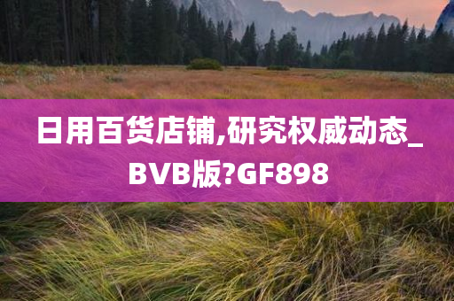 日用百货店铺,研究权威动态_BVB版?GF898