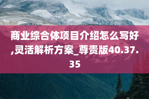 商业综合体项目介绍怎么写好,灵活解析方案_尊贵版40.37.35